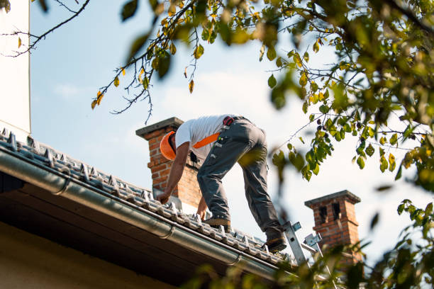 Best Storm Damage Roof Repair  in Thorp, WI
