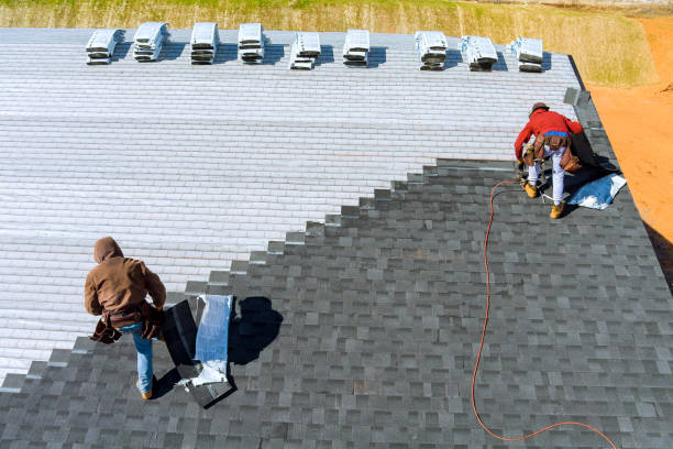Best Metal Roofing Contractor  in Thorp, WI