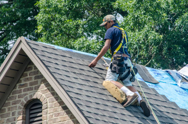 Best New Roof Installation  in Thorp, WI